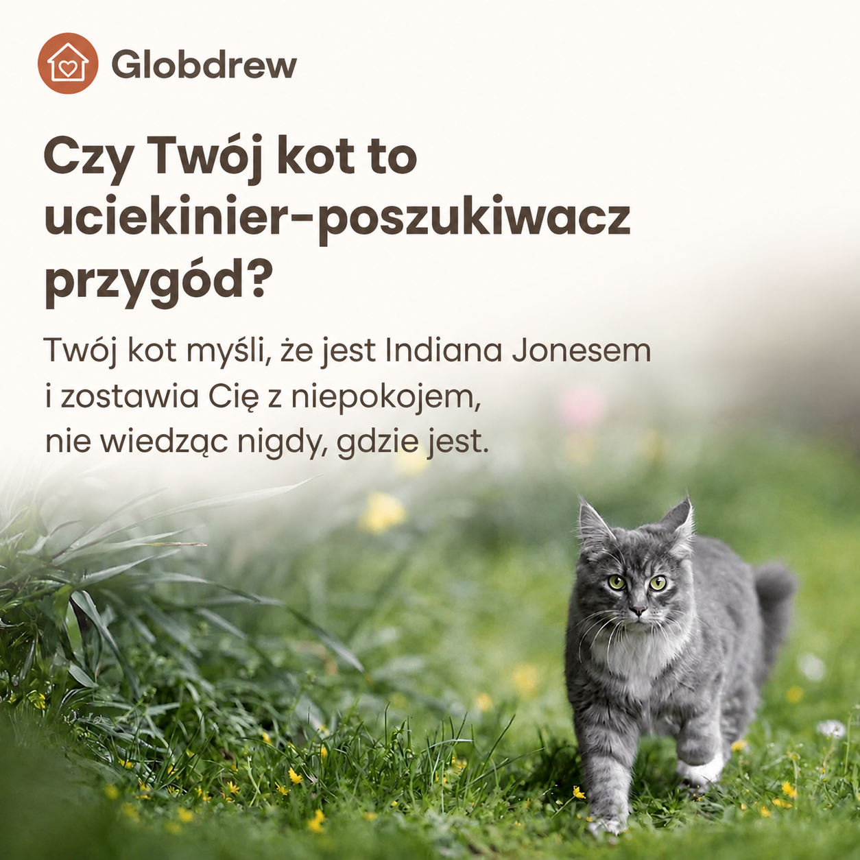 Tracker GPS dla zwierząt z funkcją personalizowanych stref bezpieczeństwa