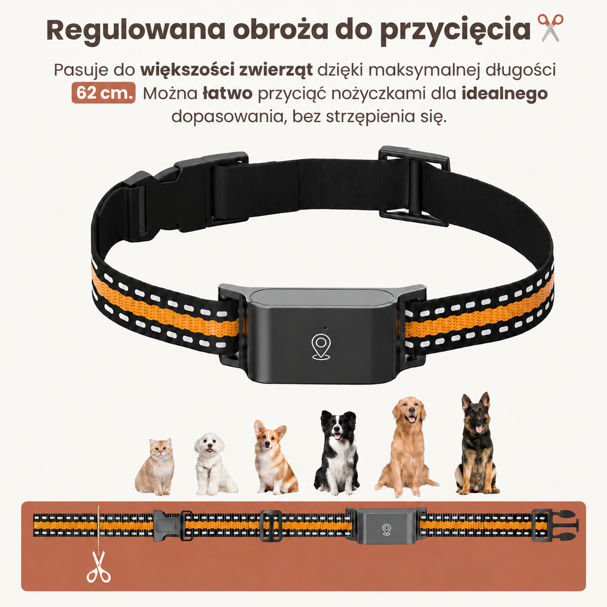Lokalizator GPS dla zwierząt – monitoring na żywo, strefa bezpieczeństwa, darmowa aplikacja