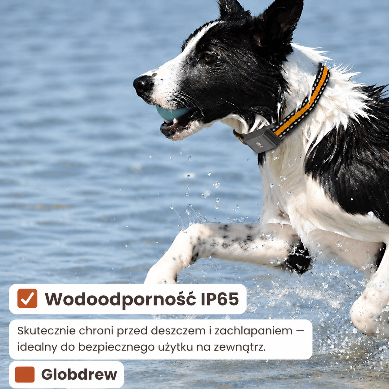 Lokalizator GPS dla psów i kotów z regulowanym paskiem do 62 cm