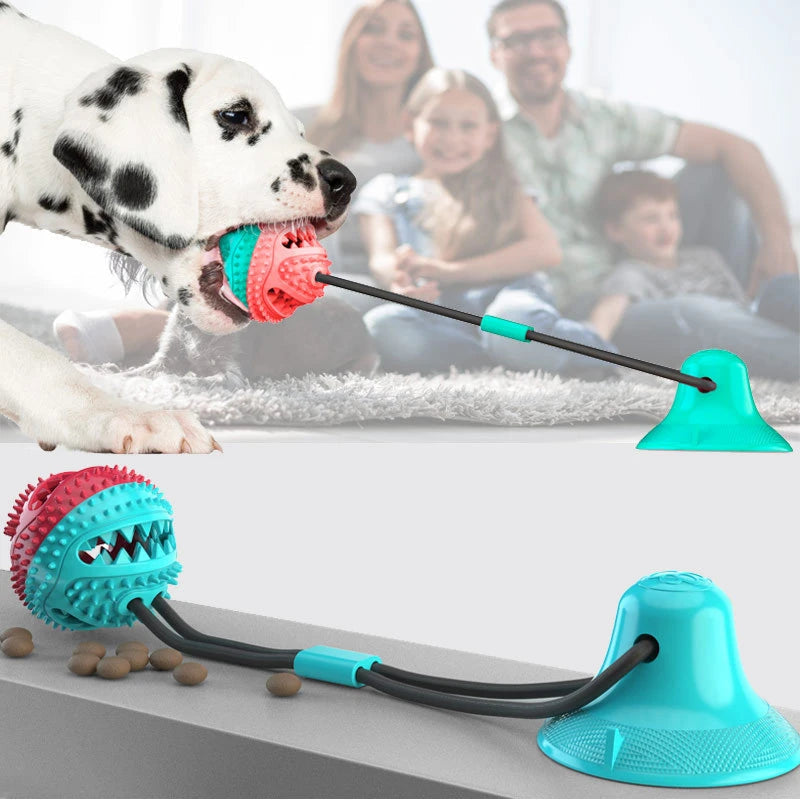 Interaktywna Zabawka dla Psów z Przyssawką – Gryzak Dentalny