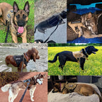 K9 Harness – szelki taktyczne dla psa