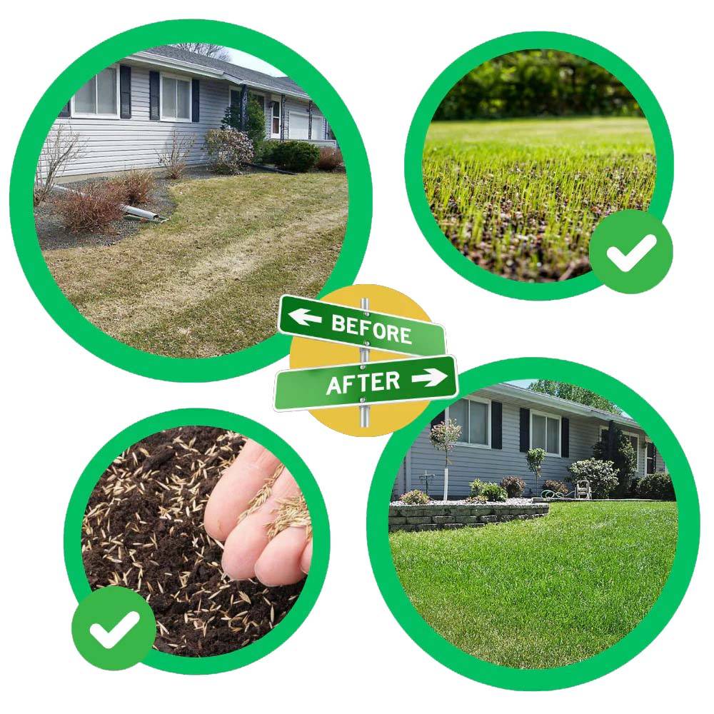 Mata z nasionami trawy Quick Fix Green