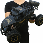 Model monster trucka RC 4x4