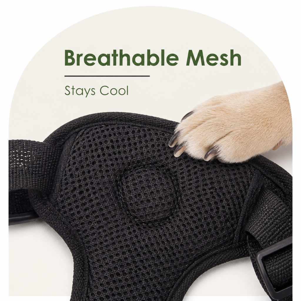 Regulowana, przewiewna siateczkowa uprząż samochodowa dla psa
