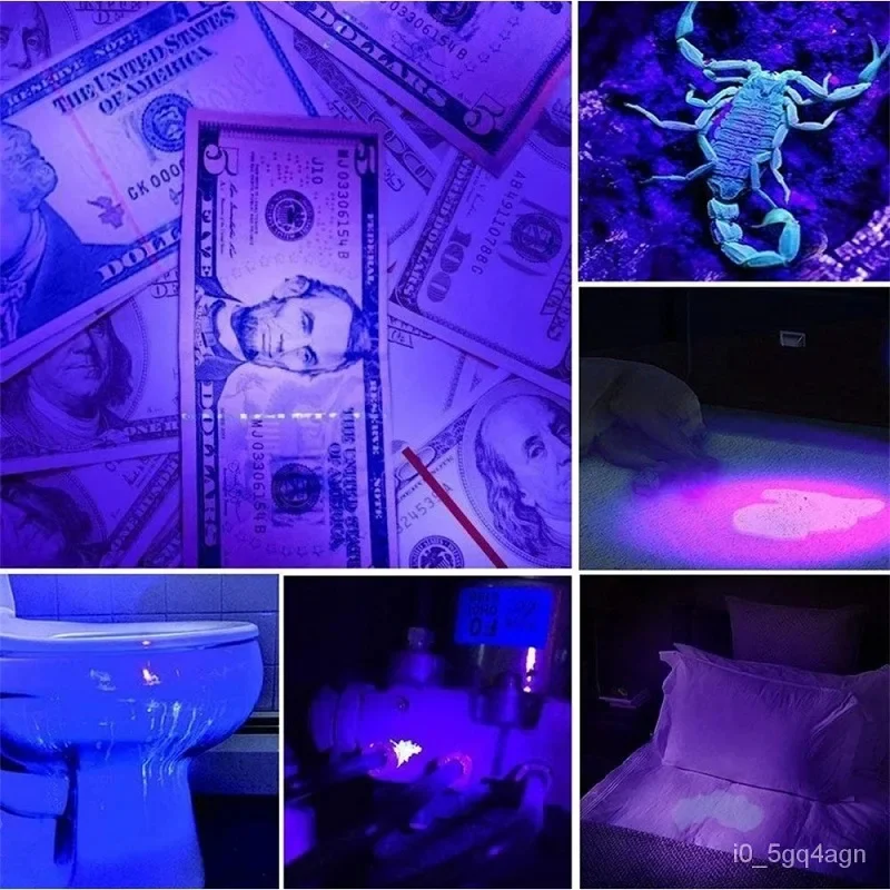 Uniwersalna Latarka UV 100 LED – Wykrywaj Pluskwy i Plamy