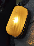 Zewnętrzna przemysłowa lampa ścienna typu bulkhead Owalny design odporny na warunki atmosferyczne